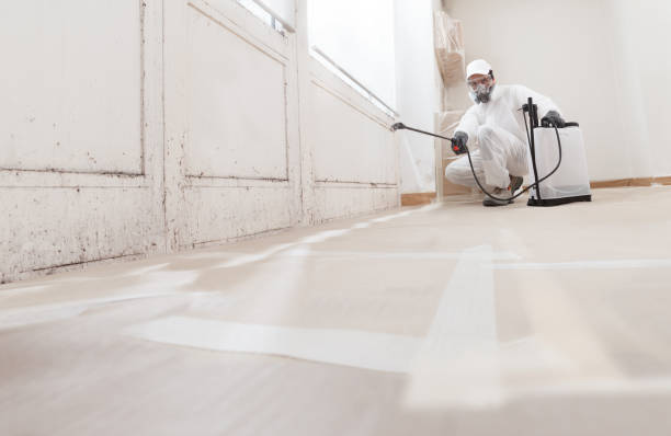24/7 Emergency Mold Remediation experts in Hillside, NJ